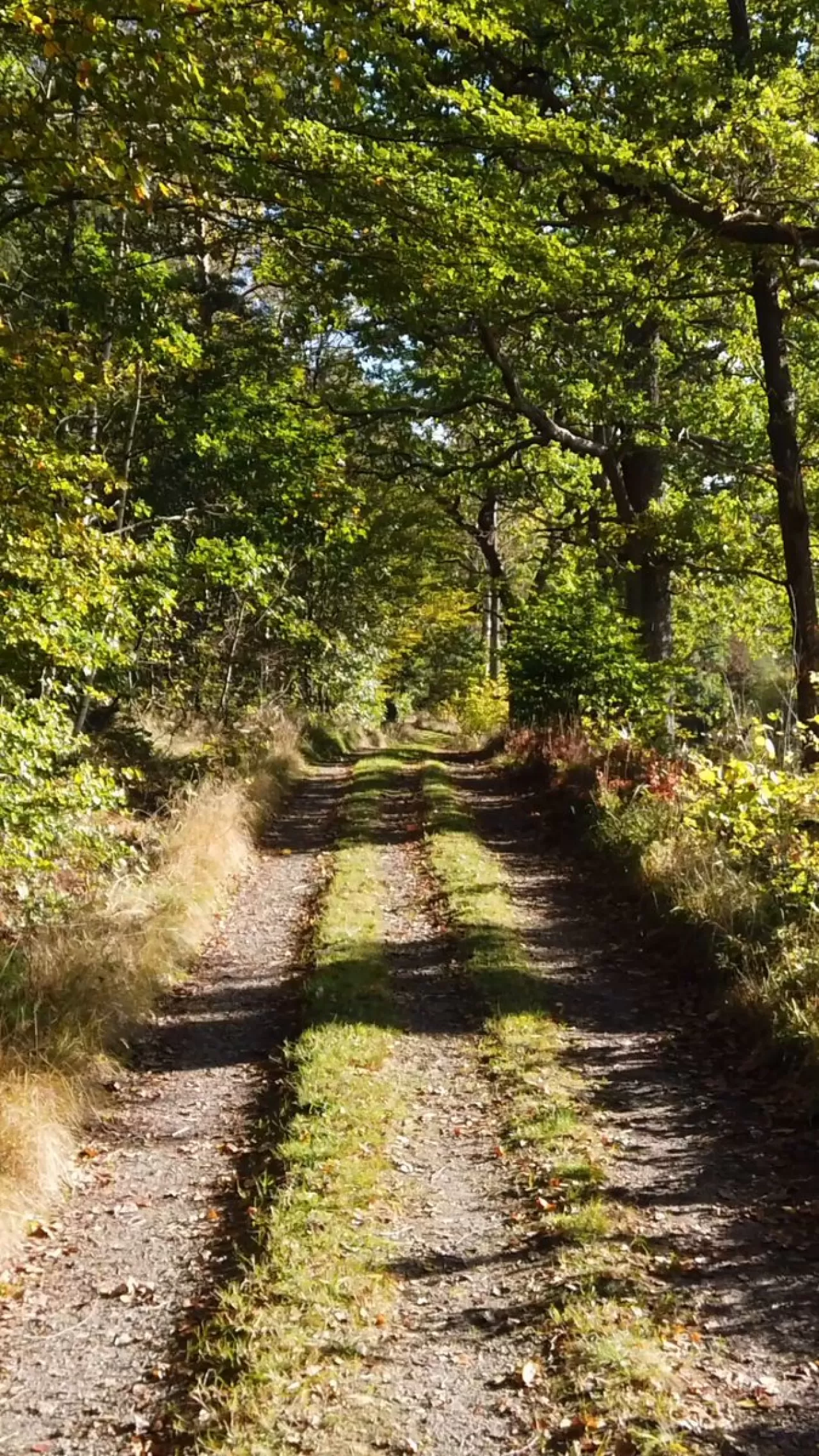 Dünya Hijyen Günü'nde Sağlığın İlk Adımına Dikkat Çekildi