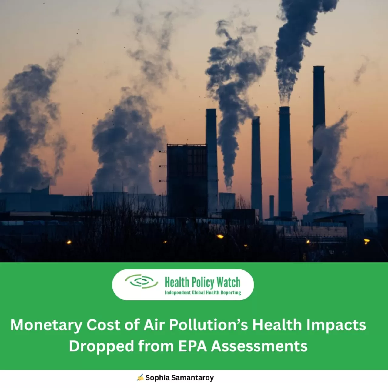 Hava Kirliliği ile Mücadelede Ekonomik Argümanların Önemi ve Küresel Etkileri