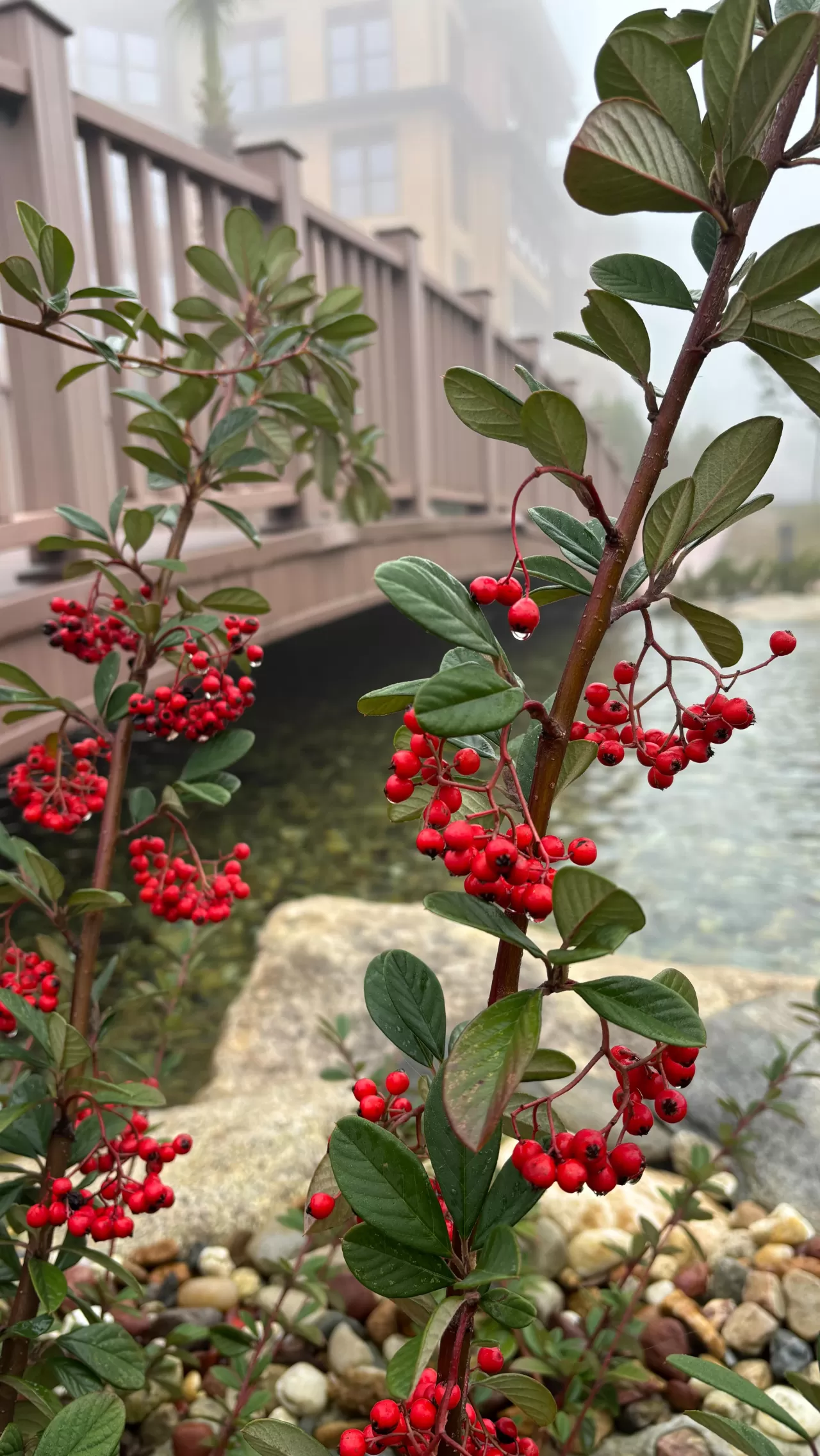 Sağlık Bilimleri Üniversitesi'nden Öğrencilere Tatil Mesajı
