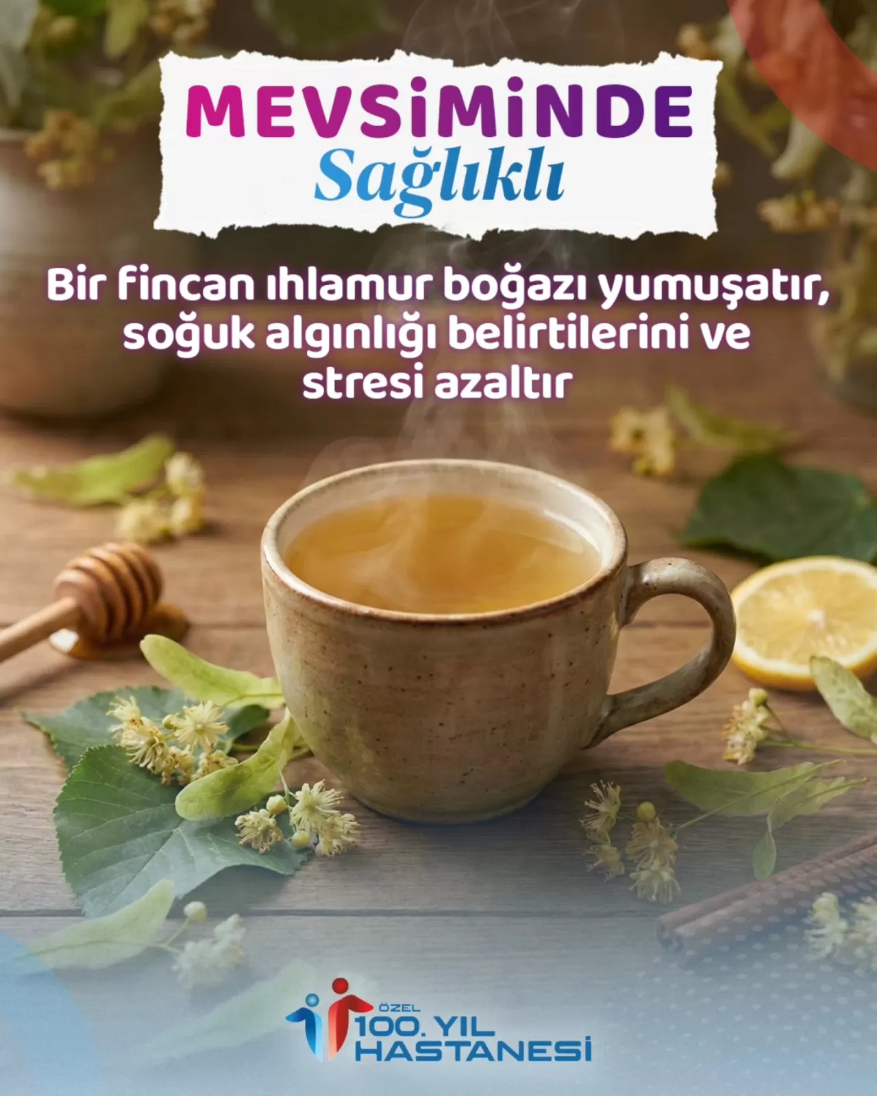 Kış Aylarında Ihlamur Çayı Tüketiminin Faydaları ve Doğru Demleme Yöntemi