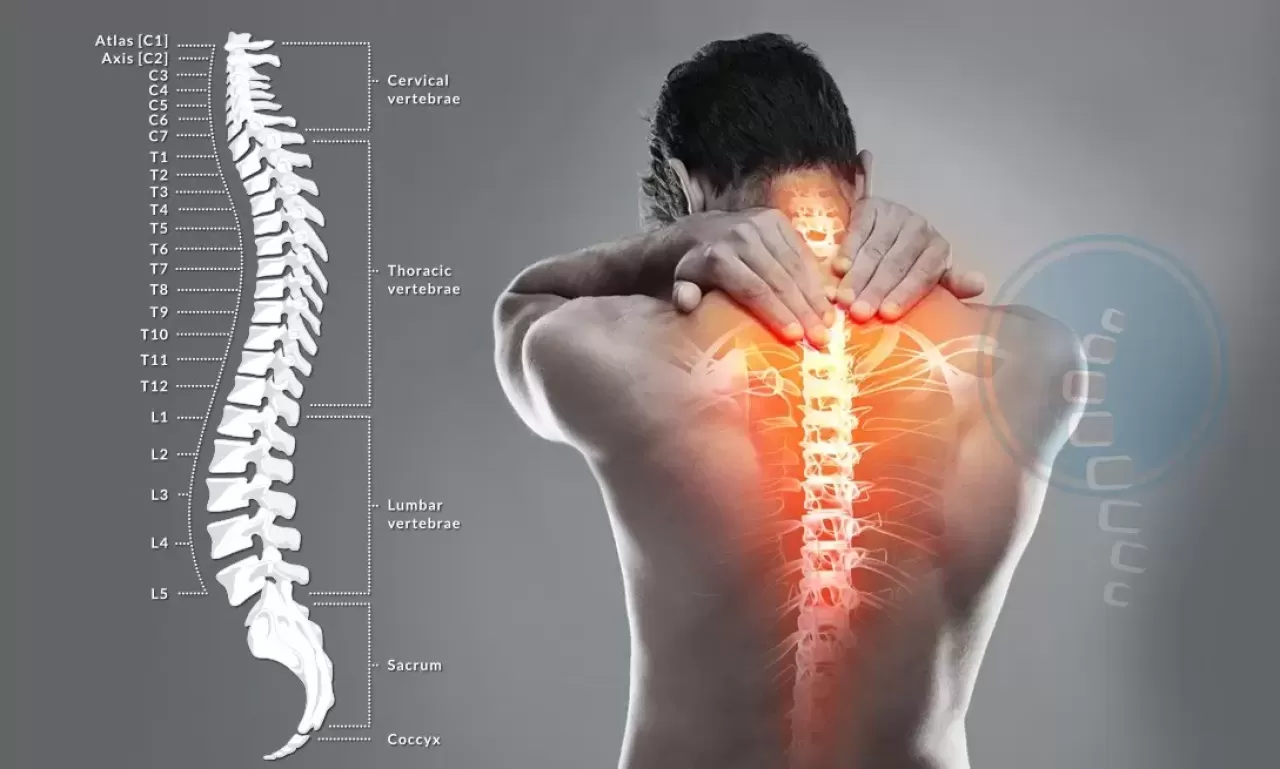 Omurga Çıtırdaması, Eklem Hipermobilitesinin Sessiz İşareti Olabilir