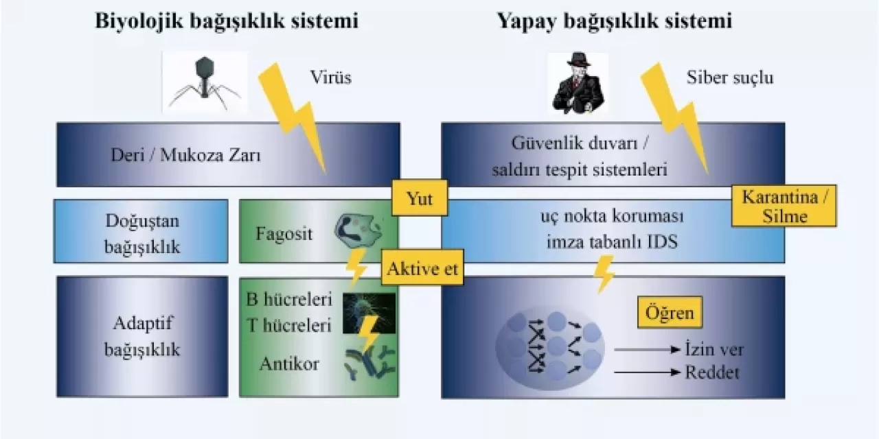 Bebek Sağlığında Dijital Devrim: Mikrobiyom ve Teknoloji Buluşuyor