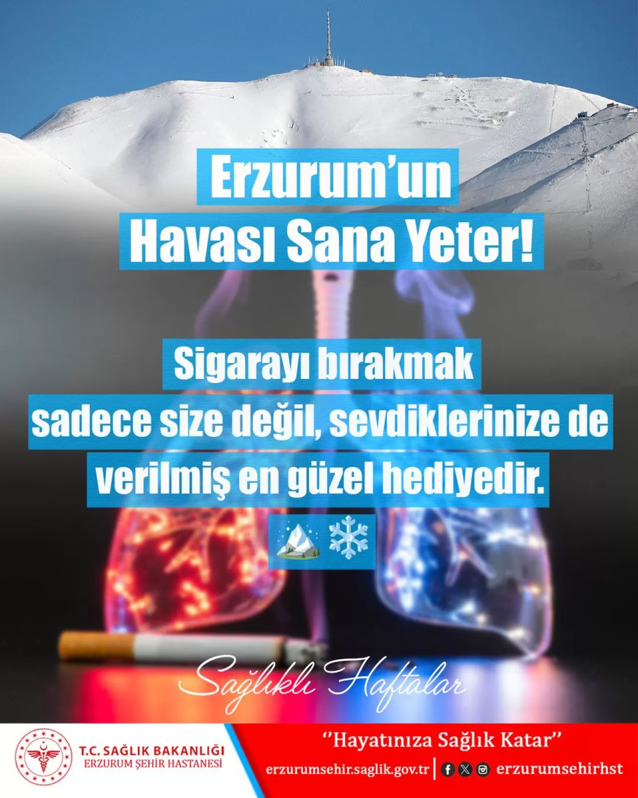 Erzurum Şehir Hastanesi'nden 