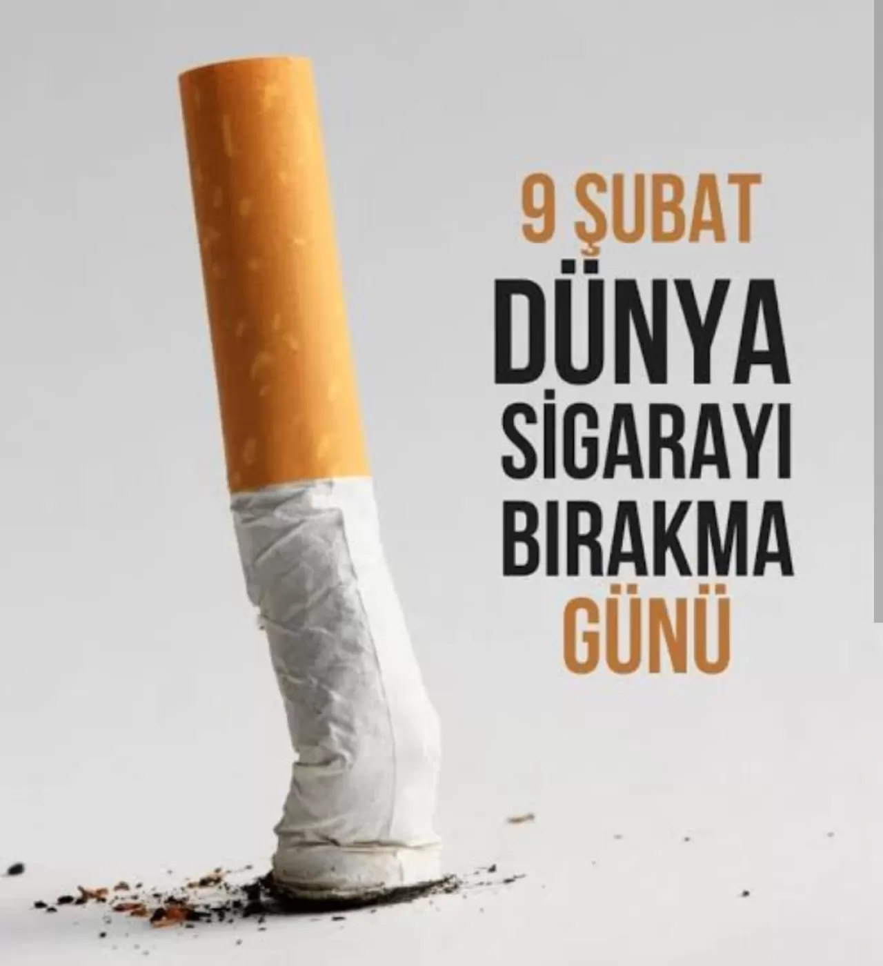 Diyarbakır'da 9 Şubat Dünya Sigarayı Bırakma Günü'nün Önemi Vurgulandı