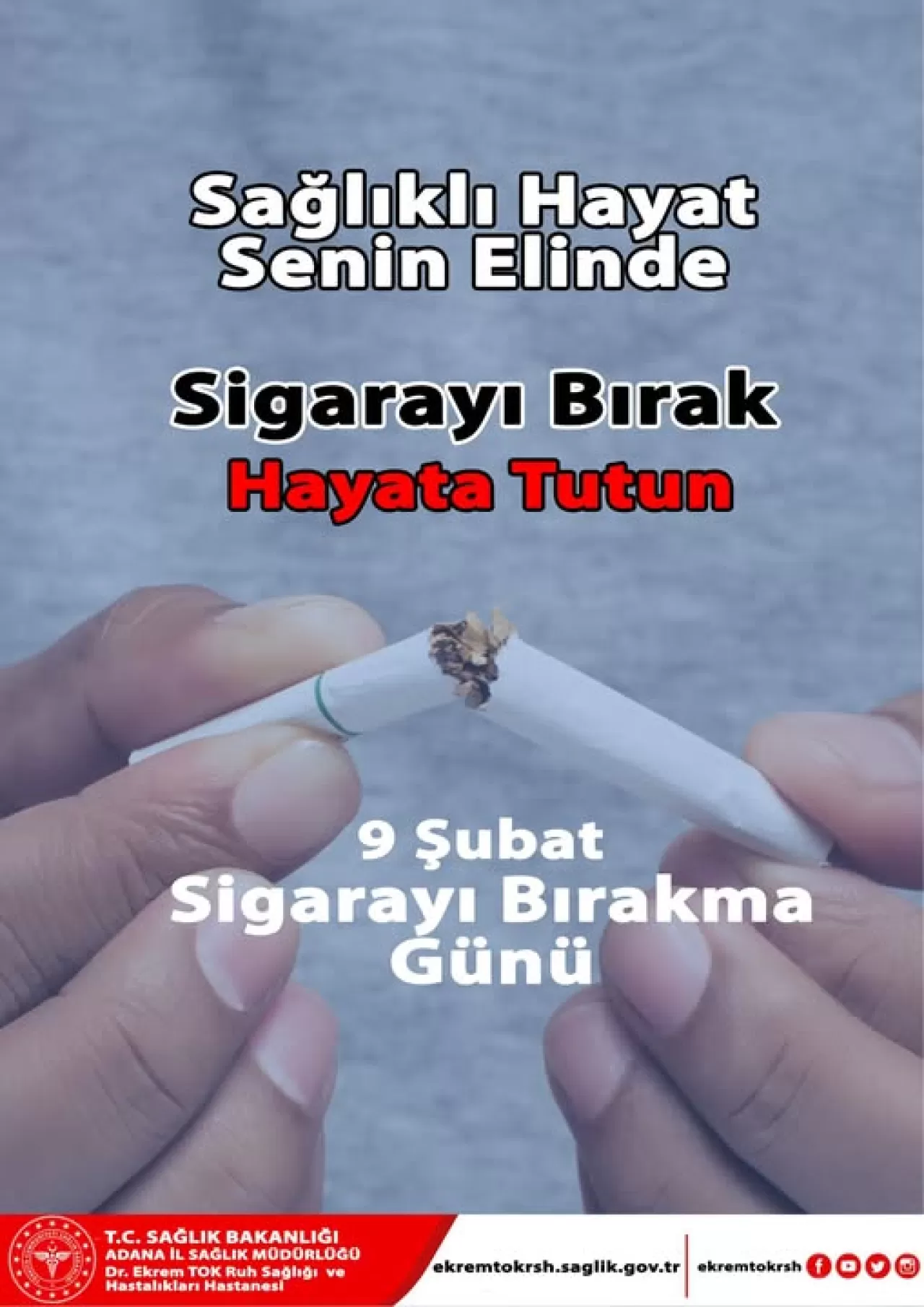 Adana'da Sigarayı Bırakma Günü'nde Anlamlı Etkinlik
