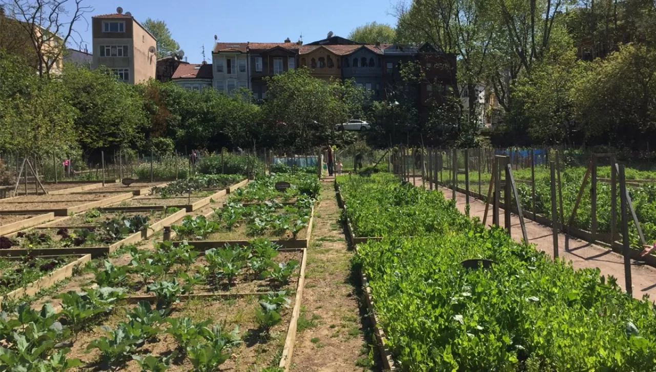 Günde 10 Dakika Toprakla Buluşmak: Hem Bağırsak Hem Ruh Sağlığını Güçlendiriyor