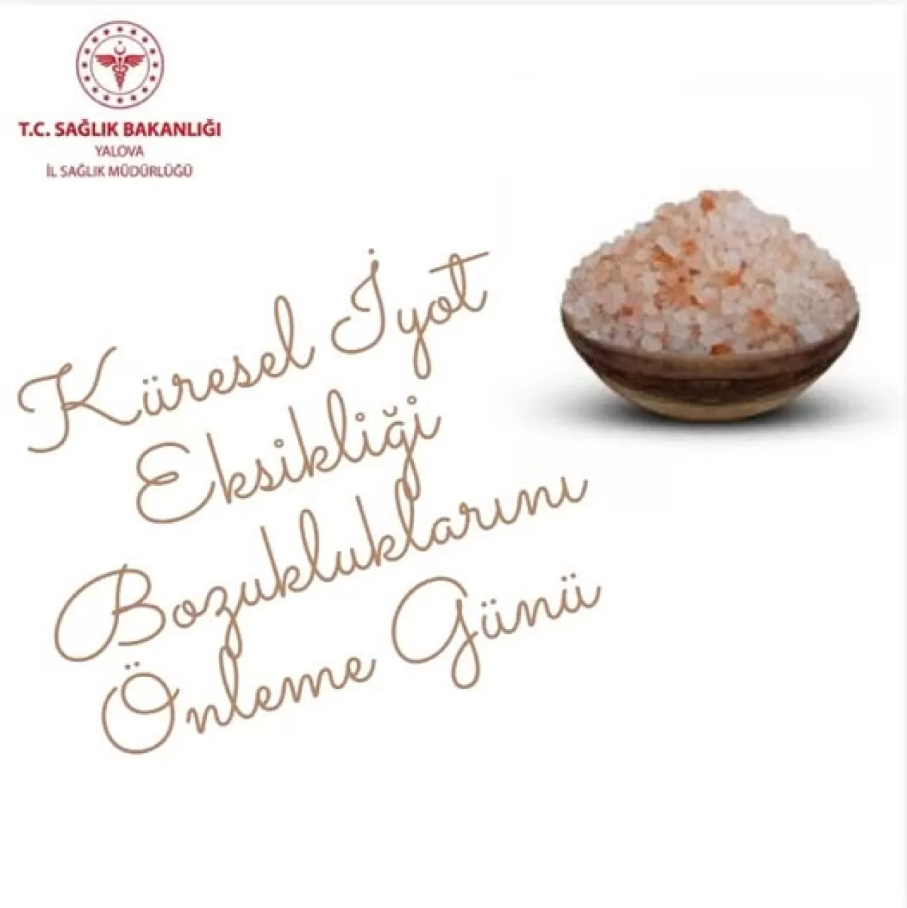 Yalova İl Sağlık Müdürlüğü'nden İyot Eksikliği Uyarısı: Guatr ve Zeka Geriliğine Dikkat!