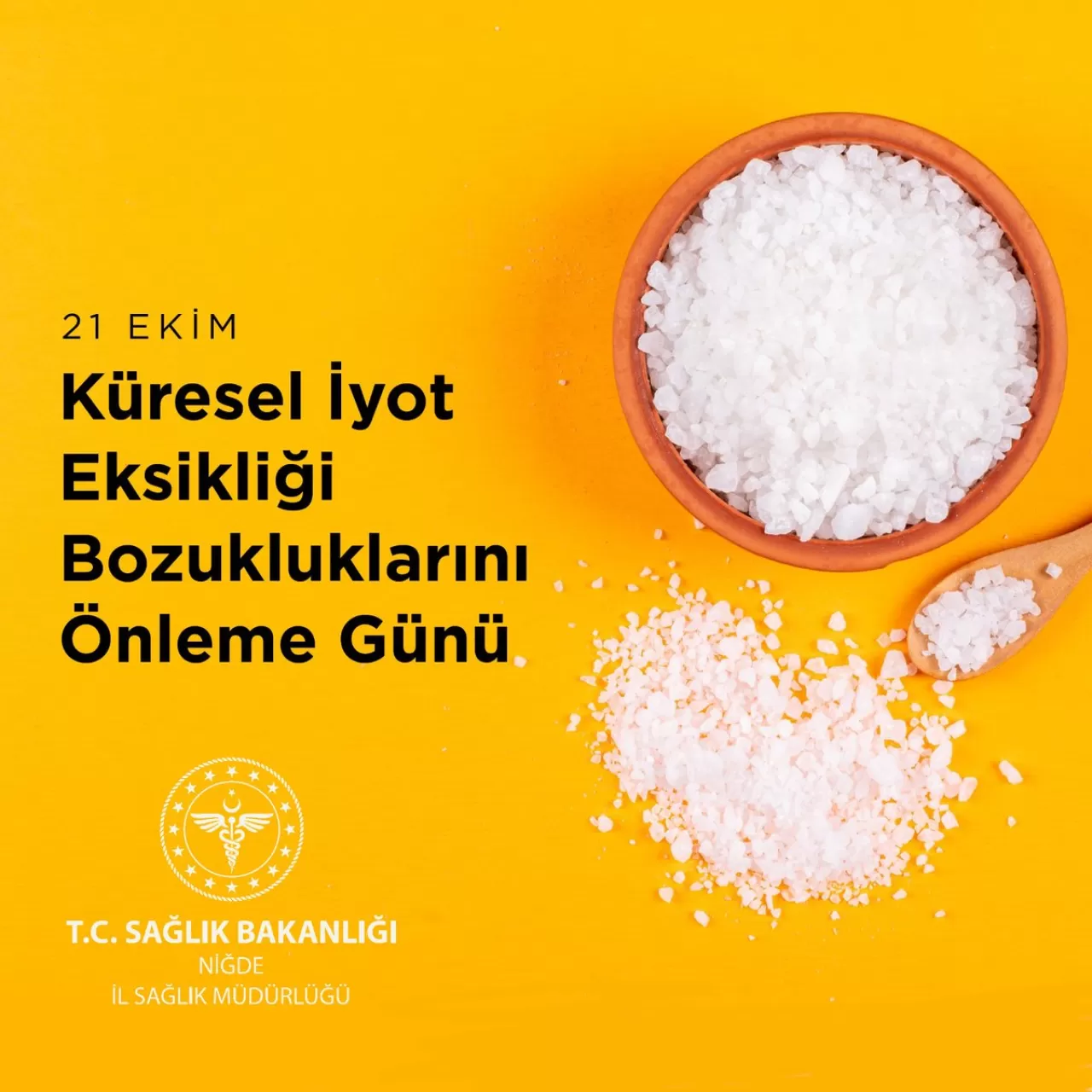 Niğde'de 21 Ekim Küresel İyot Eksikliği Günü'nde Önemli Uyarılar