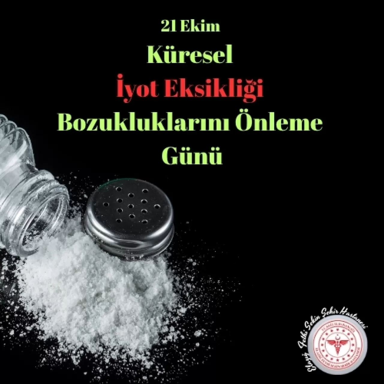 21 Ekim Dünya Küresel İyot Eksikliği Bozukluklarını Önleme Günü'nde Elazığ'da Farkındalık
