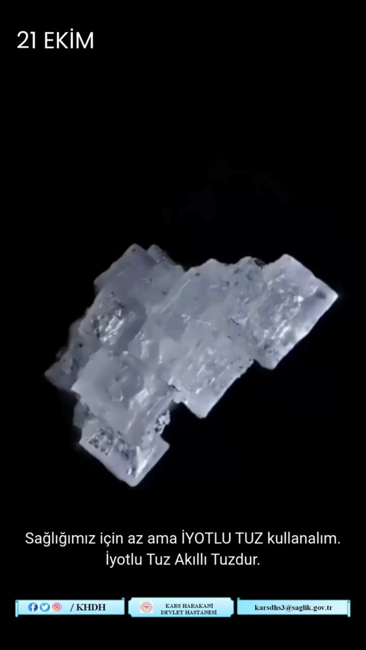 Kars'ta İyotlu Tuz Kullanımının Önemi Vurgulandı