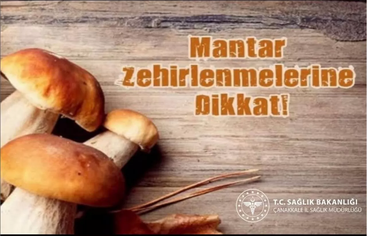 Mantar Zehirlenmesi Belirtileri: İlk 6 Saat Hayati Önem Taşıyor