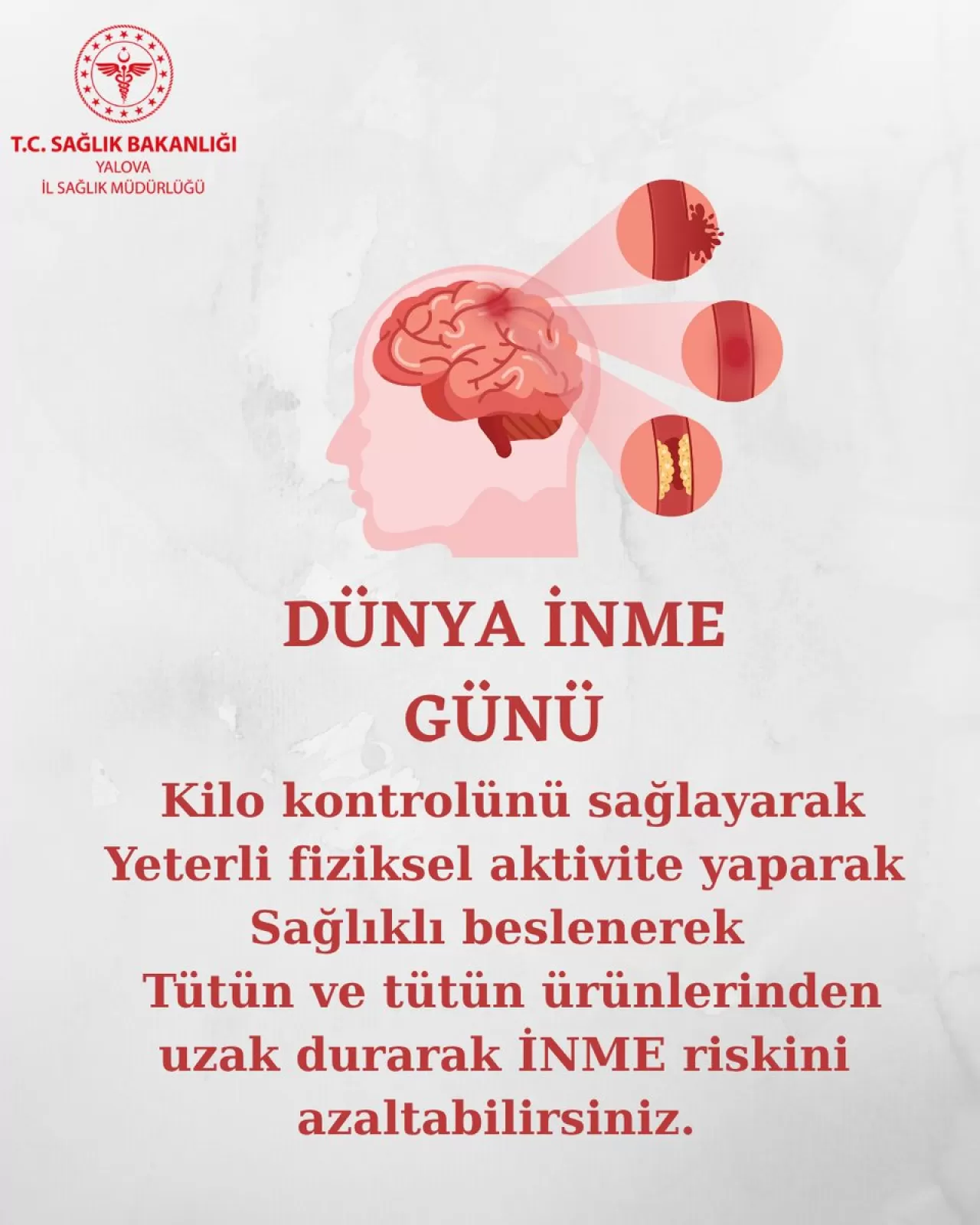 Yalova İl Sağlık Müdürlüğü'nden İnme Riskini Azaltacak 5 Kritik Öneri