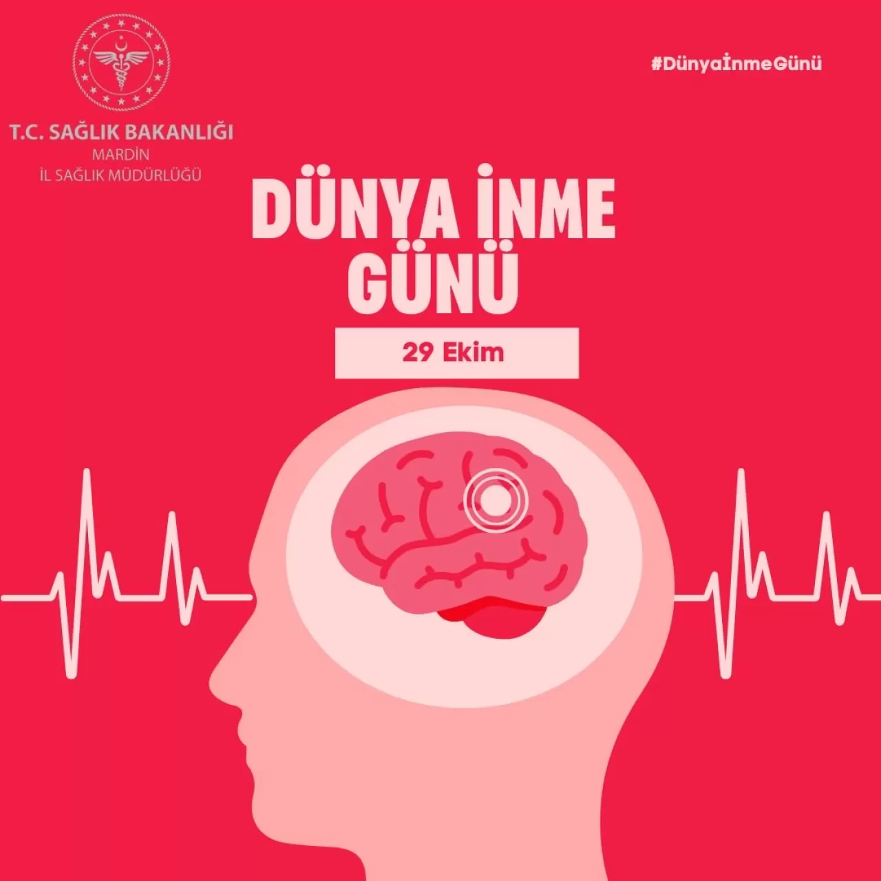 Mardin'de Dünya İnme Günü'nde Kritik Uyarılar: İnme Riski Nasıl Azaltılır?