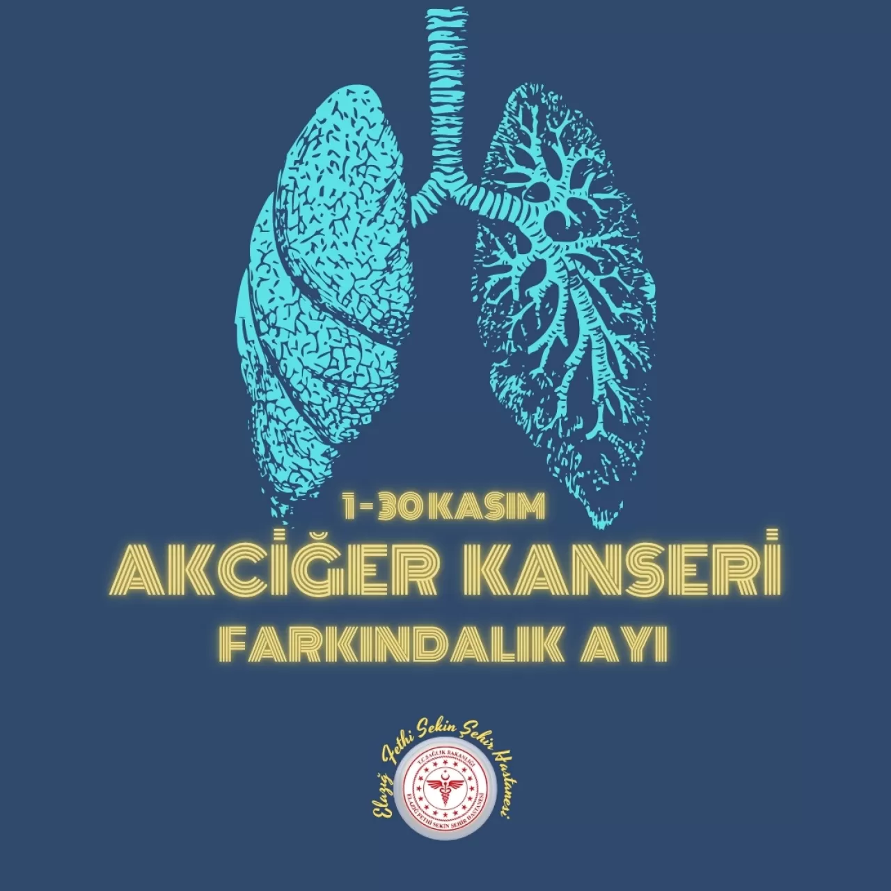 Elazığ'da Akciğer Kanseri Farkındalık Ayı Etkinlikleri Başladı